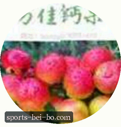 马涛
